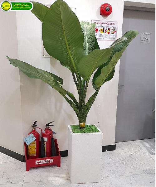 đại phú gia